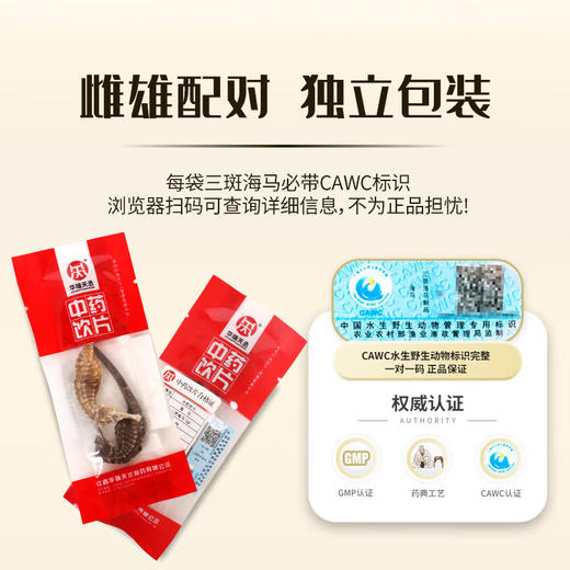 海马中药饮片 华瑞天丞三斑公母配对·带标识 煲汤滋补泡酒药材小包装多规格 商品图2