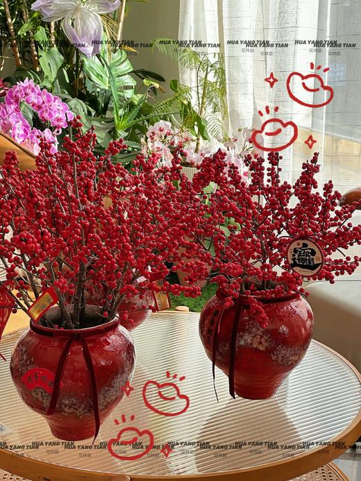 红福满堂· 北美冬青套瓶 商品图2