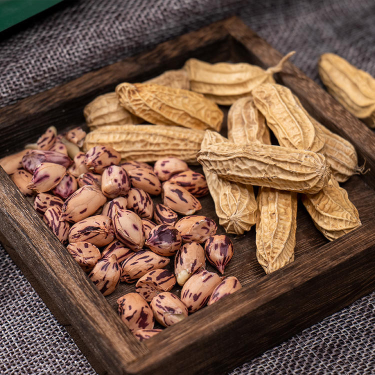 【云海肴烤七彩花生】 带壳熟花生 原味香甜酥脆 颗粒饱满 壳脆易剥