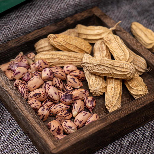 【云海肴烤七彩花生】 带壳熟花生 原味香甜酥脆 颗粒饱满 壳脆易剥 商品图0