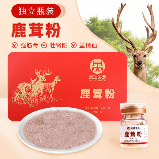 鹿茸粉10g（1g*10瓶）/盒 华瑞天丞中药饮片男女滋补调养独立瓶装冲服 商品图0