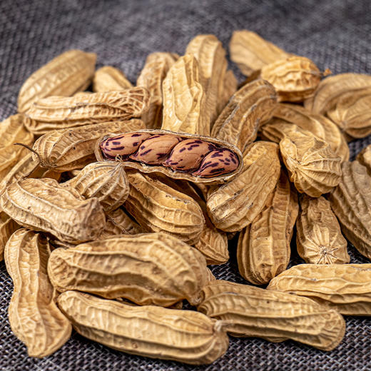 【云海肴烤七彩花生】 带壳熟花生 原味香甜酥脆 颗粒饱满 壳脆易剥 商品图1