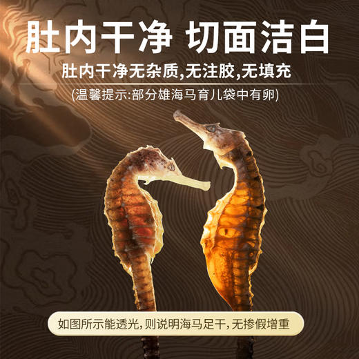 海马中药饮片 华瑞天丞三斑公母配对·带标识 煲汤滋补泡酒药材小包装多规格 商品图4