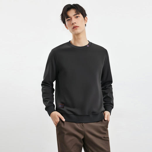 【桑蚕丝混纺 多色】罗蒙春秋男装时尚卫衣男士布标绣花卫衣时尚休闲圆领长袖T恤男 商品图2