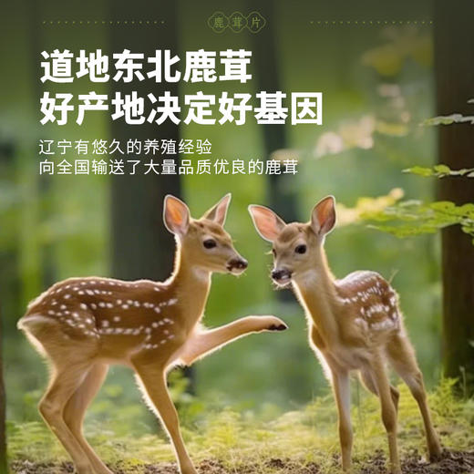 鹿茸片10g/袋 血片华瑞天丞中药饮片滋补煲汤泡酒 商品图3