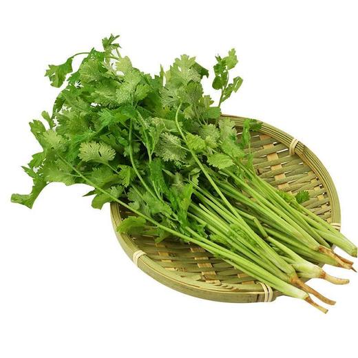 放心香菜 约50g/袋 商品图2