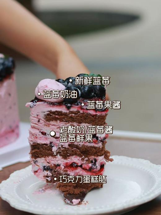 酸奶莓莓 商品图3