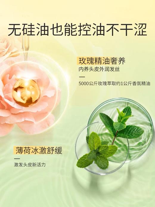 阿道夫无硅油洗发水(四项专研)500ml 商品图3
