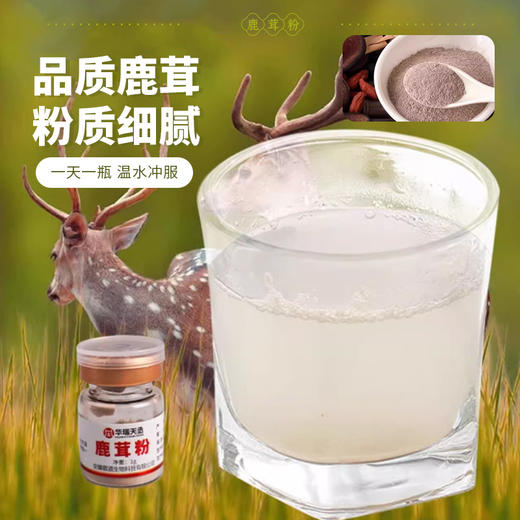 鹿茸粉10g（1g*10瓶）/盒 华瑞天丞中药饮片男女滋补调养独立瓶装冲服 商品图7