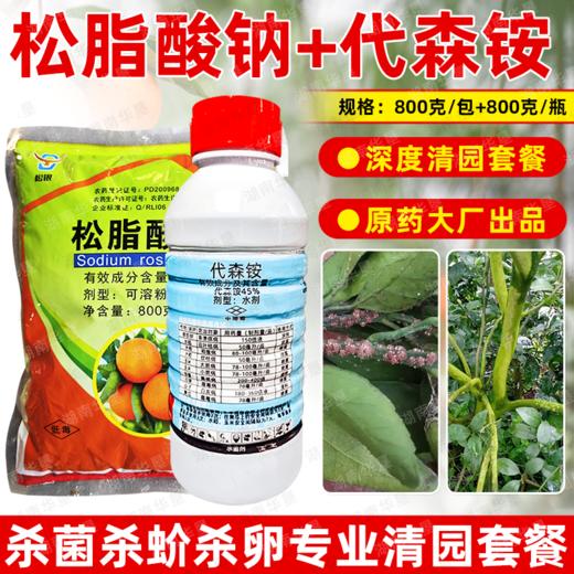 松脂酸钠代森铵杀青苔果树清园剂柑橘铁皮石斛杨梅蚧介壳虫杀虫剂 商品图2