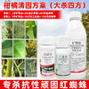 矿物油炔螨特乙蒜素套餐柑橘果树红蜘蛛专用药清园杀虫剂农药正品 商品缩略图4