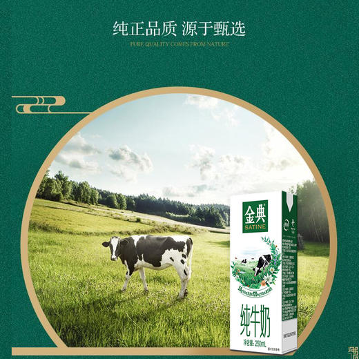伊利金典有机纯牛奶250ml盒学生成人营养早餐高钙牛奶 商品图4