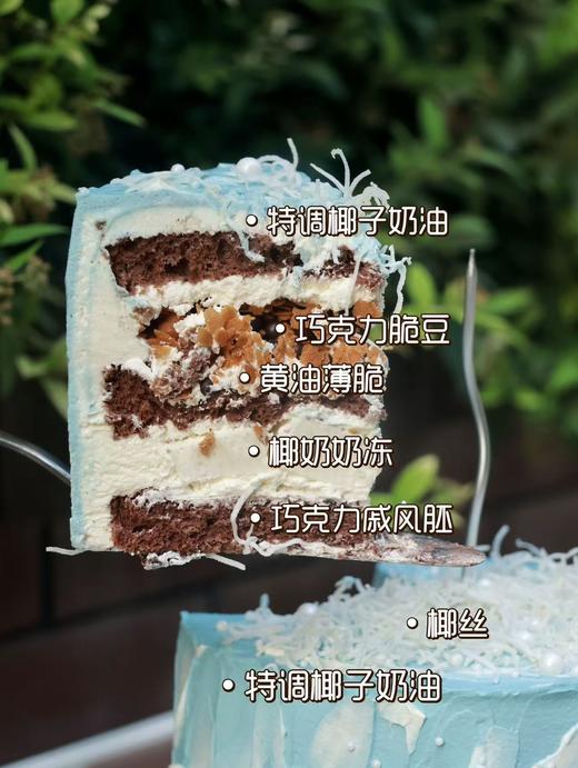 蓝颜椰椰 商品图2