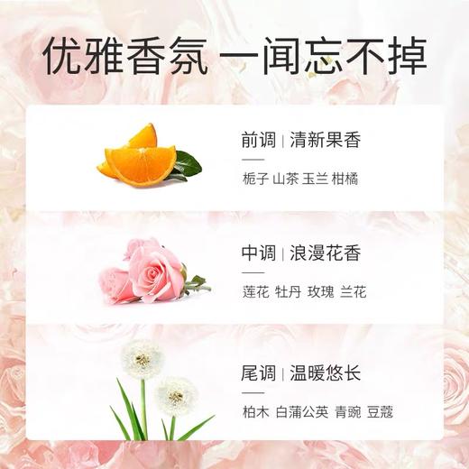 阿道夫无硅油洗发水(四项专研)500ml 商品图5