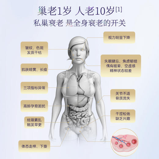 Bioagen 博奥真 巢乐维 透明质酸钠固体饮料 80g/40条 商品图2