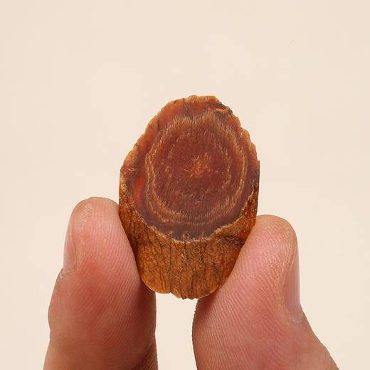 正安原材·长白朝鲜族县红参片 六年种植冬季采挖 原参蒸制片大耐泡优质原材 120g/盒正安 长白朝鲜族县红参片【冷藏保存】 商品图7