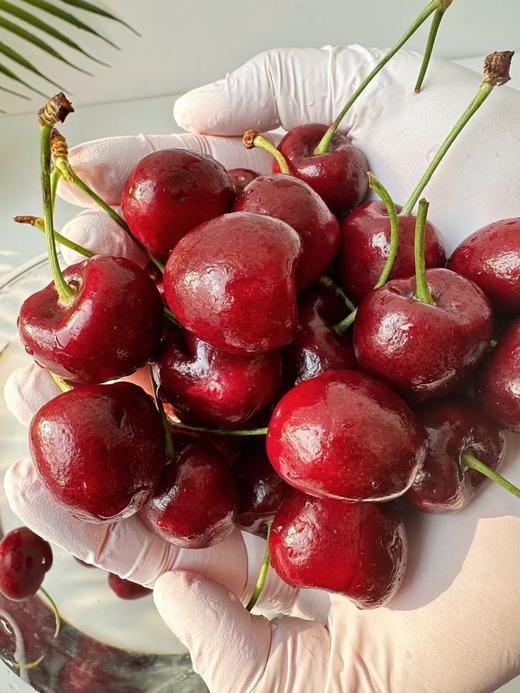 满分车厘子 商品图2