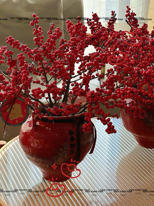 红福满堂· 北美冬青套瓶 商品图1