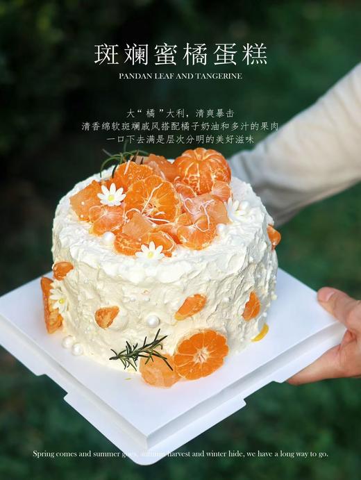 斑斓蜜橘蛋糕 商品图0