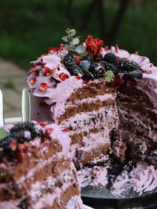 春来桑满枝 商品图1