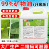 99%高含量矿物油柑橘果树红蜘蛛专用药矿物油清园杀虫剂农药正品 商品缩略图1