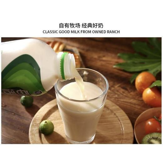 君乐宝每日活菌清零900ml活菌型果味0蔗糖0脂肪非全无糖桶装饮品 商品图1