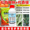 松脂酸钠代森铵杀青苔果树清园剂柑橘铁皮石斛杨梅蚧介壳虫杀虫剂 商品缩略图3
