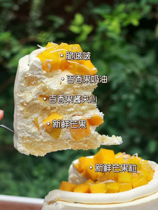 一只香芒果 商品图2