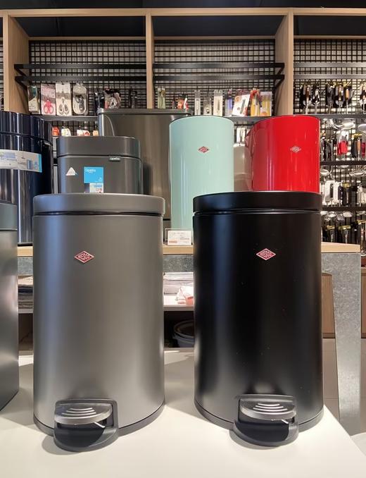 威士克德国客厅脚踏垃圾桶带盖豪华家用进口高档别墅庭院9L 商品图1