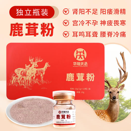 鹿茸粉10g（1g*10瓶）/盒 华瑞天丞中药饮片男女滋补调养独立瓶装冲服 商品图1