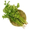 放心香菜 约50g/袋 商品缩略图3