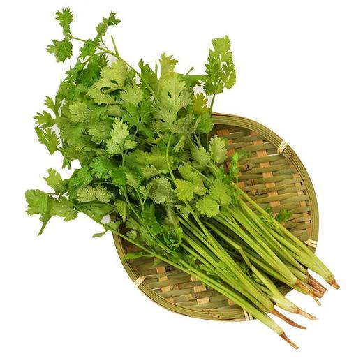 放心香菜 约50g/袋 商品图3