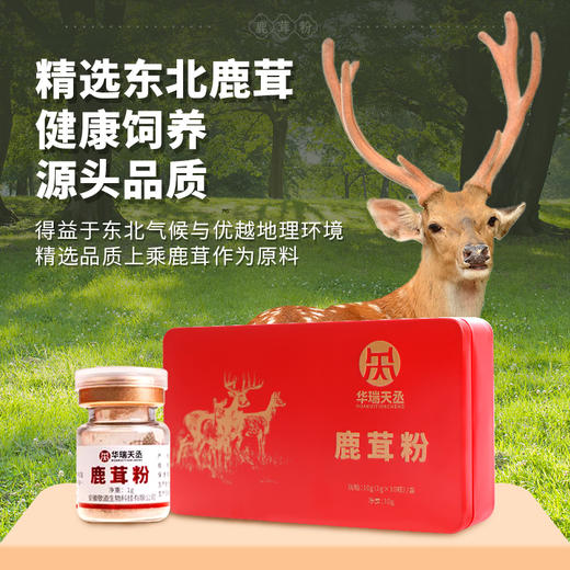 鹿茸粉10g（1g*10瓶）/盒 华瑞天丞中药饮片男女滋补调养独立瓶装冲服 商品图2