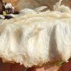 生态释迦果 | 合作生产* Ecological Custard apple | Coproduction 商品缩略图2