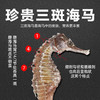 海马中药饮片 华瑞天丞三斑公母配对·带标识 煲汤滋补泡酒药材小包装多规格 商品缩略图3