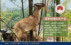 碧里下廪羊-羊排/羊腿/羊头/羊肚（2斤以上赠送礼盒）【LY】