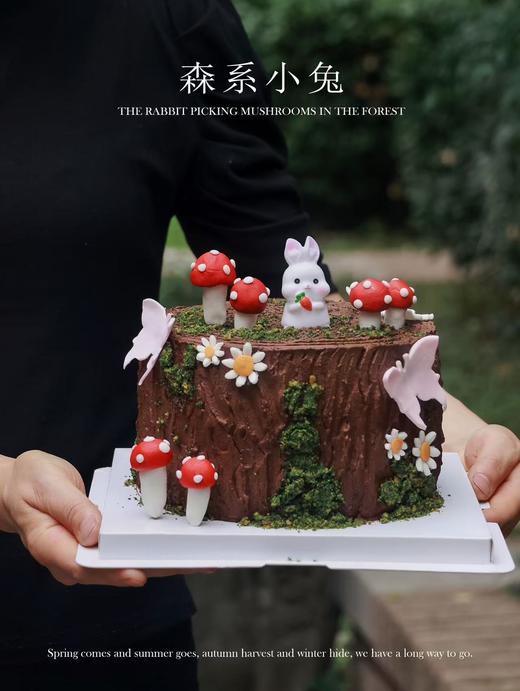 森系小兔 商品图0