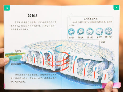 【赠点读笔|限量】《美国国家地理：少儿手绘百科》礼盒装（全48册）| 世界级出版大社权威出品，专为3岁+少儿打造的神级科普，8000余震撼实景+精美手绘，打开孩子看世界的大门 商品图8