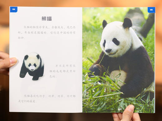 【赠点读笔|限量】《美国国家地理：少儿手绘百科》礼盒装（全48册）| 世界级出版大社权威出品，专为3岁+少儿打造的神级科普，8000余震撼实景+精美手绘，打开孩子看世界的大门 商品图12