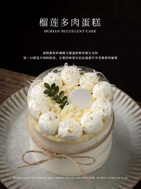 榴莲多肉蛋糕（4英寸）