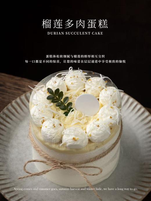 榴莲多肉蛋糕（4英寸） 商品图0