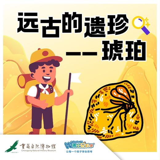 重庆自然博物馆【远古遗珍——琥珀】 商品图0
