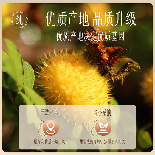 【官方正品】云南白药孜补刺梨125g刺梨果干泡水煲汤茨梨补充VC 商品图1