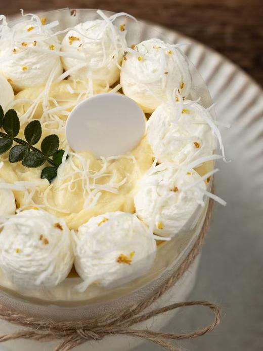 榴莲多肉蛋糕（4英寸） 商品图1