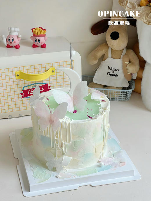 水中月 商品图0