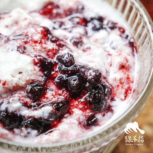 野生蓝莓/混合果酱（临期8折）  | 合作生产* Wild Berry Jam | Coproduction 商品图1