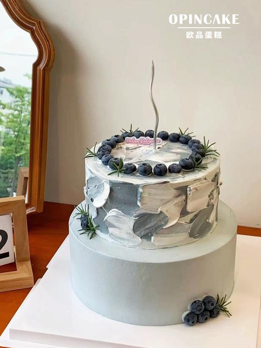 简约蓝莓 商品图0