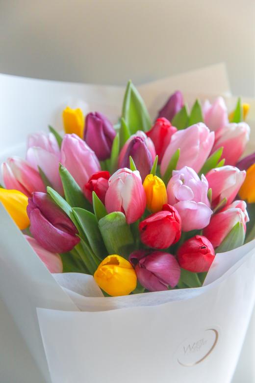 混合郁金香花束 商品图1