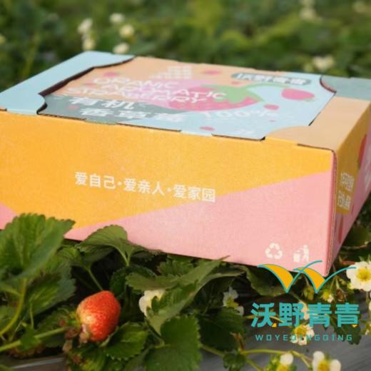 有机香草莓2.3斤【下单后3-5天发货，阴雨天顺延】 商品图5