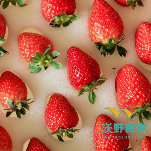 有机香草莓2.3斤【下单后3-5天发货，阴雨天顺延】 商品图1